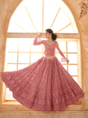 Blush Pink Embroidered Lehenga Choli