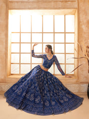 Royal Blue Embroidered Lehenga Choli