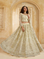 Silver Beige Embroidered Lehenga Choli