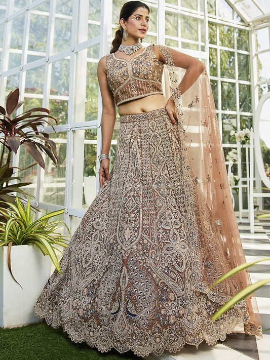 Brown net with Beads and Zarkan embroidery Semi-Stitched Lehenga choli & Dupatta