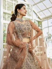 Brown net with Beads and Zarkan embroidery Semi-Stitched Lehenga choli & Dupatta