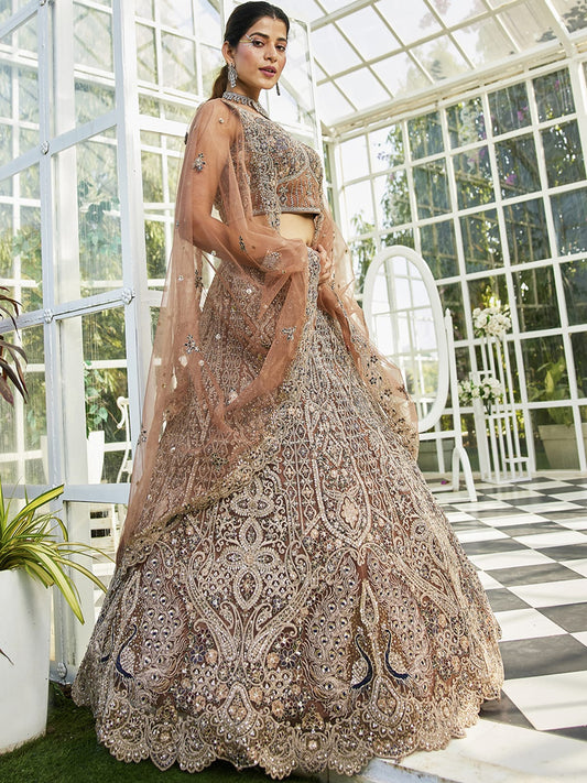 Brown net with Beads and Zarkan embroidery Semi-Stitched Lehenga choli & Dupatta