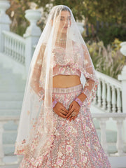 Grey net with Sequinse and Zarkan embroidery Semi-Stitched Lehenga choli & Dupatta