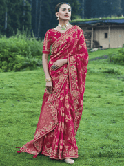 Rani Pure Dola Silk Saree With Exquisite Embroidery