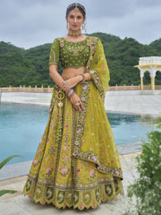 Henna Green Heavy Embroidered Designer Lehenga Set