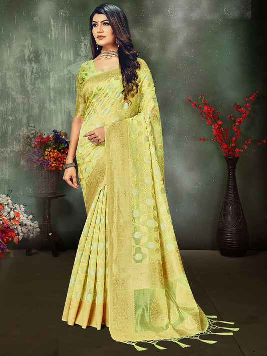 Green & Golden Woven Design Jaali Organza Banarasi Saree