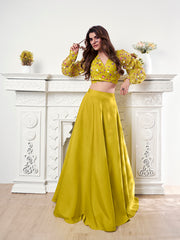 Embroidered Organza Top & Flared Maxi Skirt Co-Ord Set