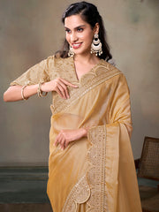 Sequinned Organza Saree